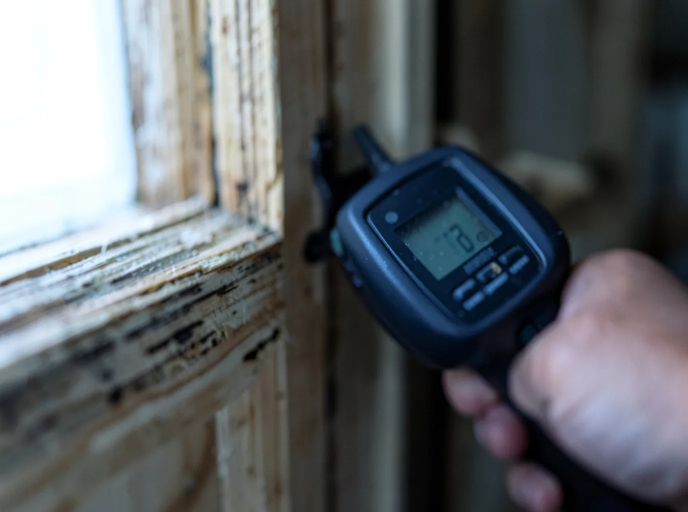 Moisture Inspection And Documentation in Packwood, WA